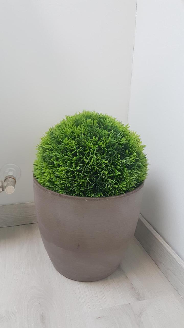 Promenad Apartman Mohács Eksteriør billede
